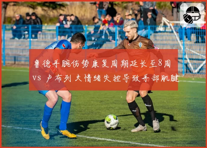 鲁德手腕伤势康复周期延长至8周 vs 卢布列夫情绪失控导致手部肌腱炎，北欧与俄罗斯选手不同伤病路径